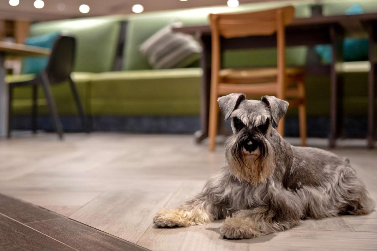 Home2 Suites By Hilton Lexington Hamburg エクステリア 写真